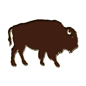 Buffalo clipart bison. Crossing 