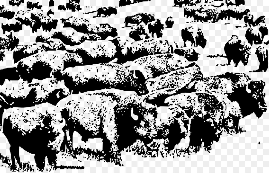 American clip art png. Bison clipart buffalo herd