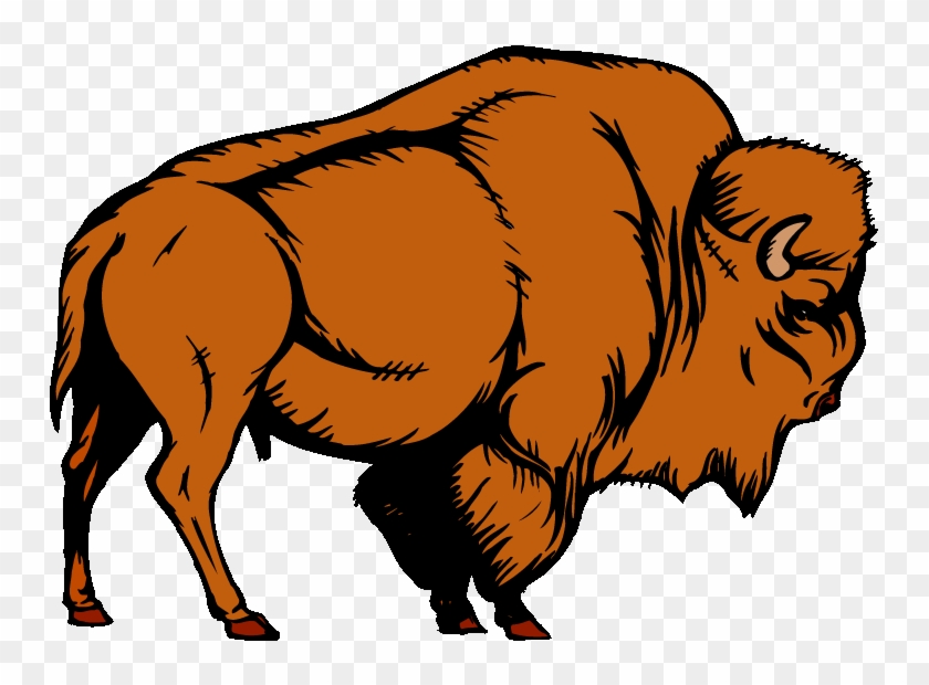 Bison clipart clip art. Water buffalo free 