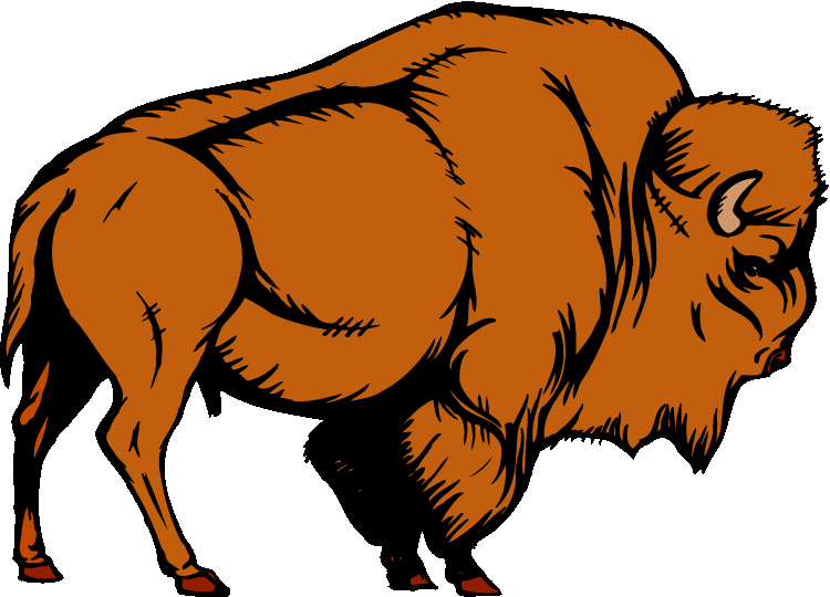 Buffalo clipart drawing. Water bison pencil and