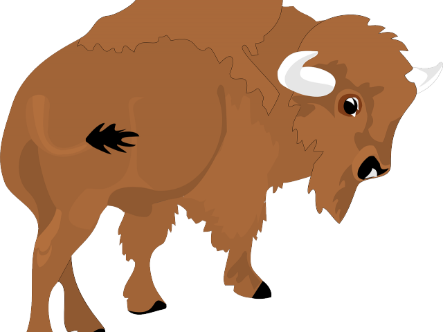Bison clipart dead. Free download clip art
