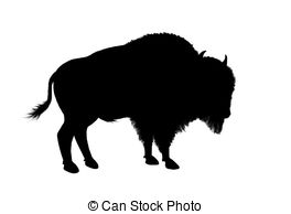 bison clipart drawing