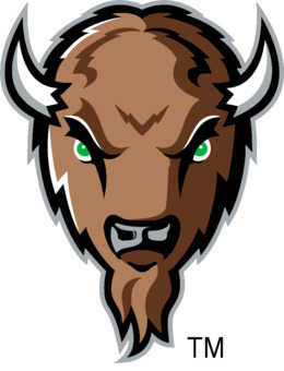 bison clipart face