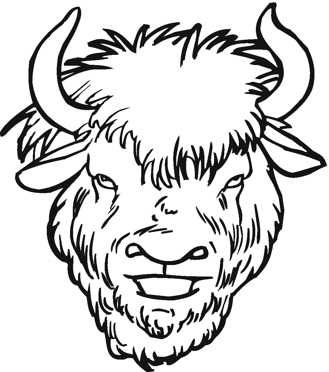bison clipart face