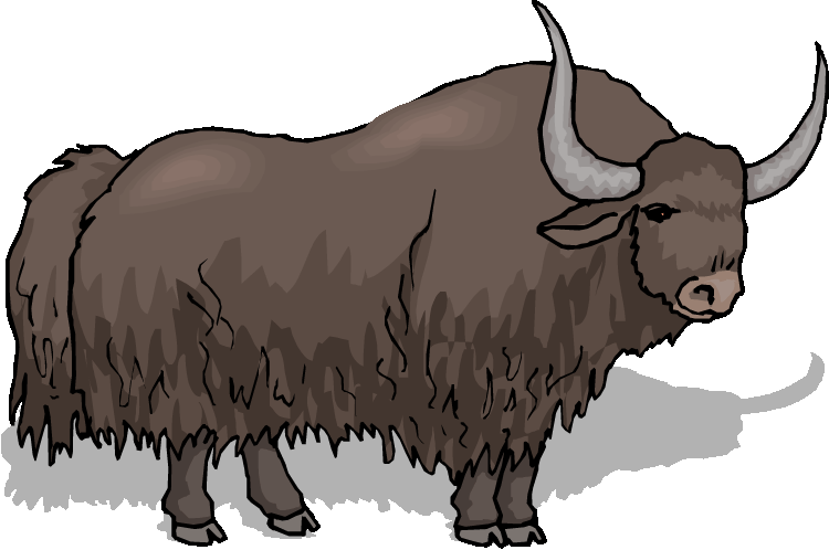 yak clipart bison
