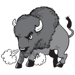 bison clipart mascot