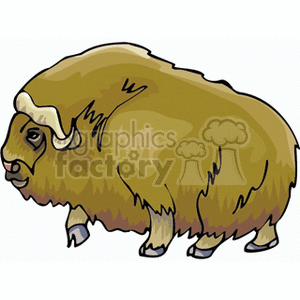 Bison clipart muskox. Royalty free clip art
