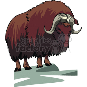 Bison clipart muskox. Royalty free huge ox