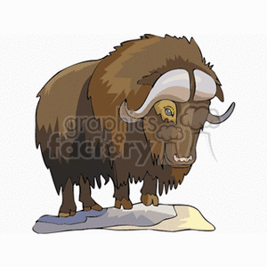 Royalty free . Bison clipart muskox