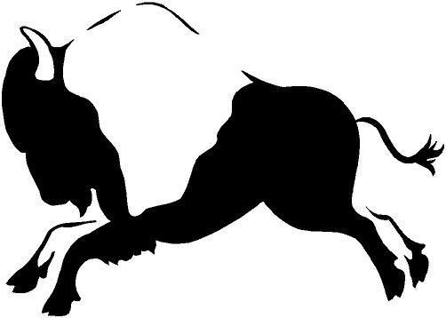 Bison native american buffalo