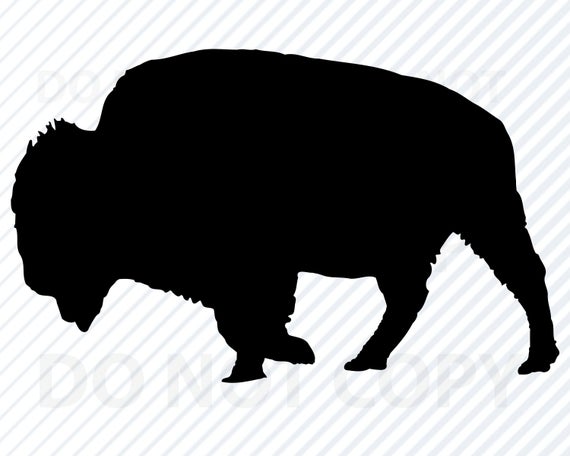 bison clipart vector