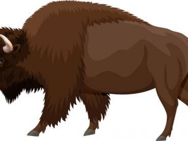 Bison clipart wild buffalo. X free clip art