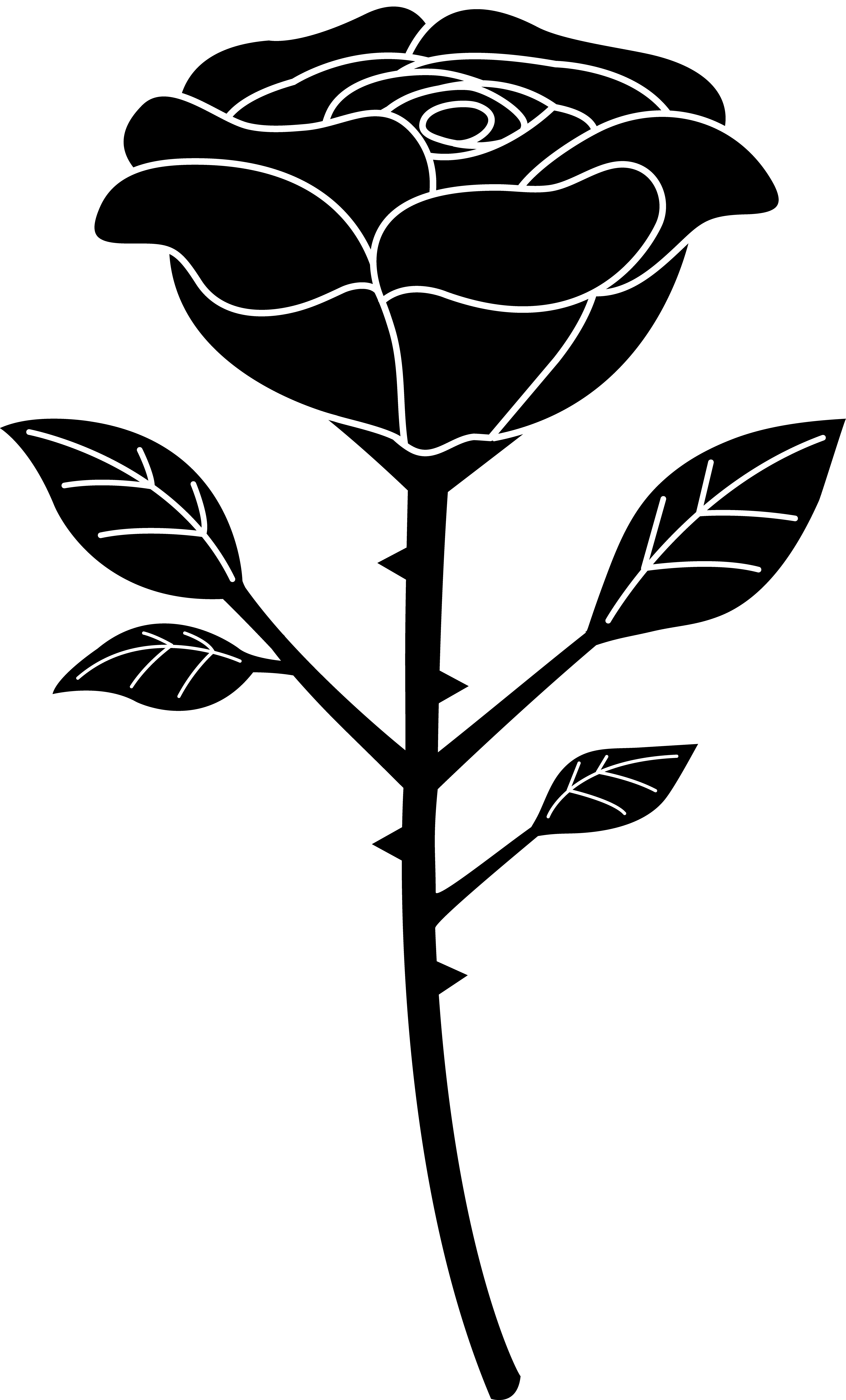 Single black and white. Clipart rose logo