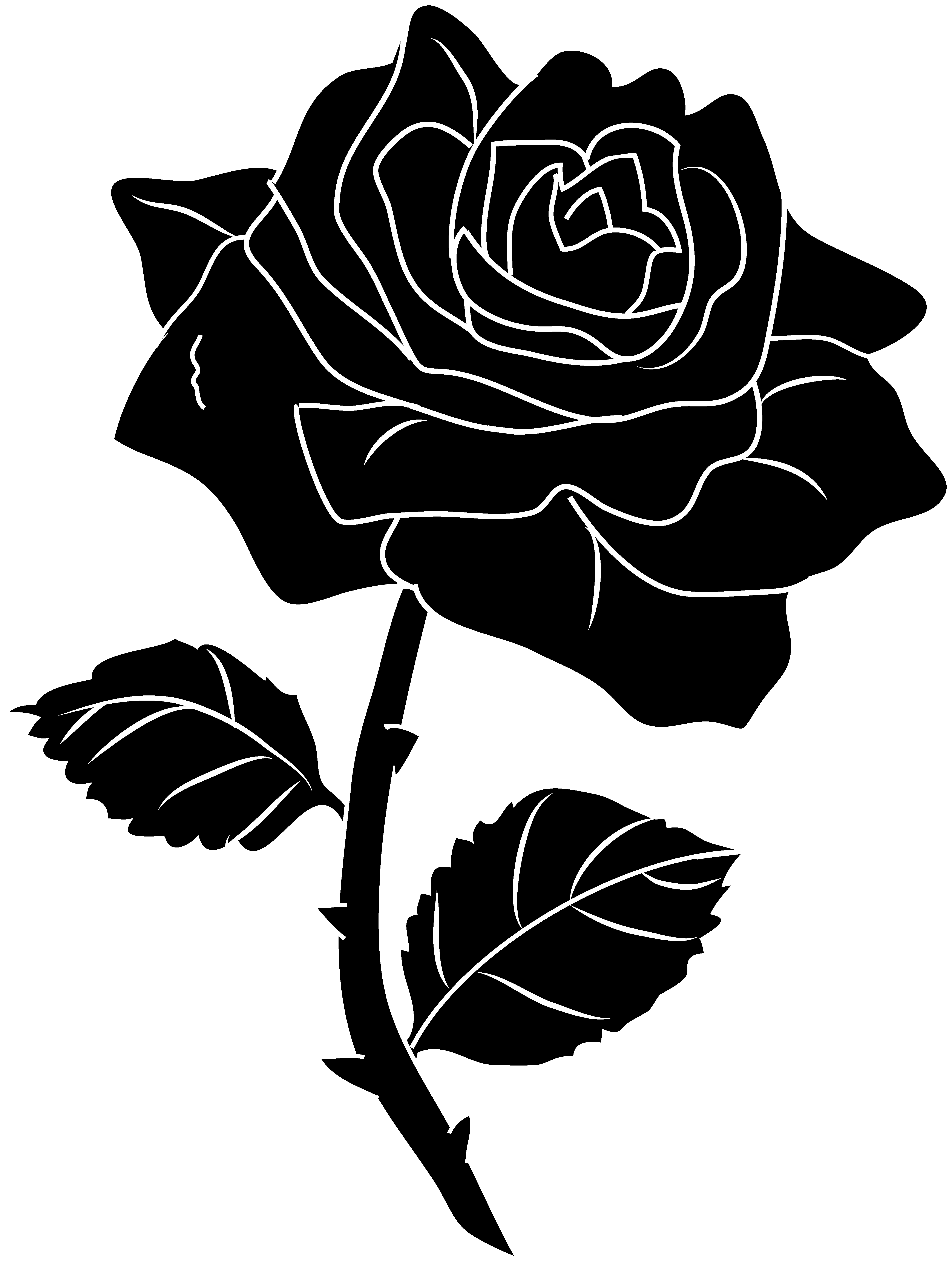 Black . Clipart rose illustration