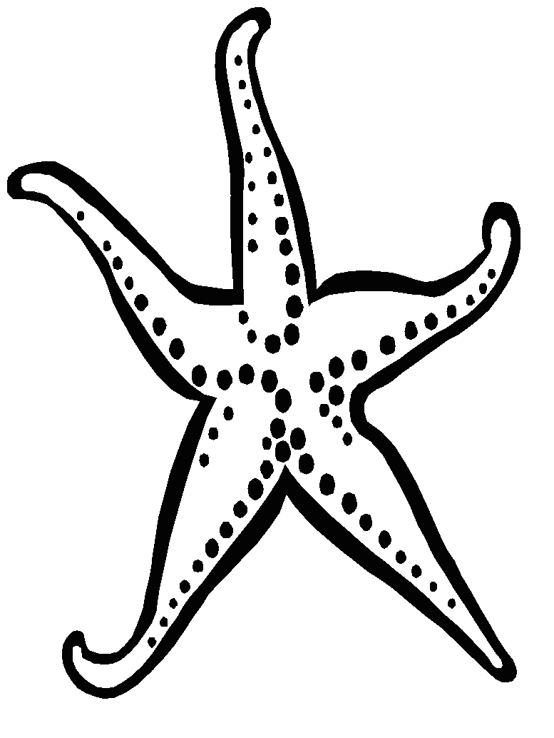 Starfish clipart black and white. Fish free 