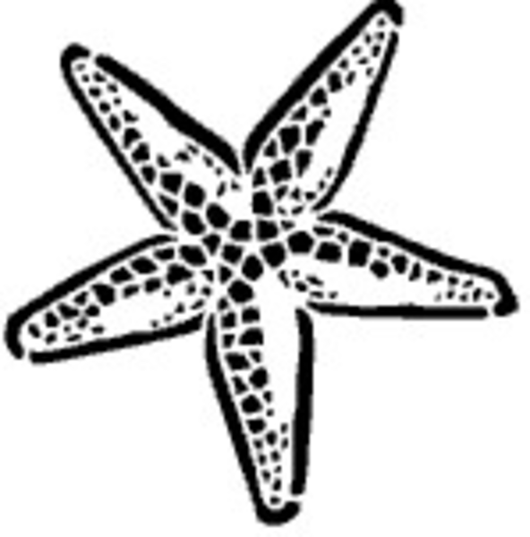 starfish clipart heart