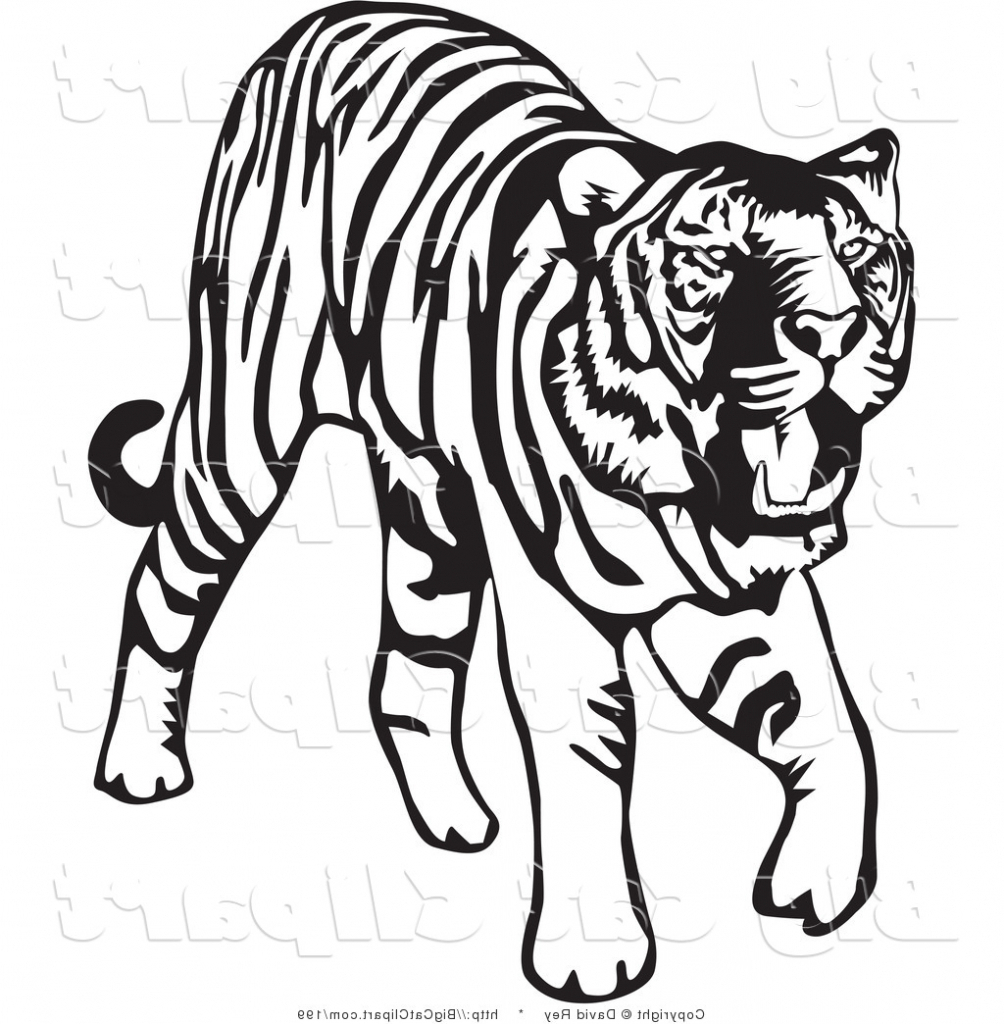 black clipart white tiger
