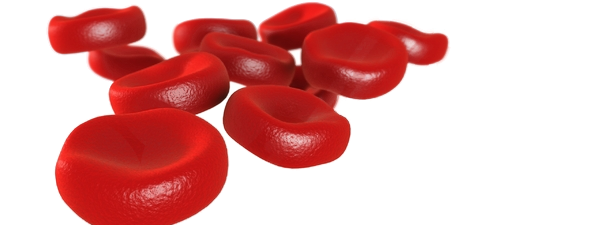 Blood cells png. Bank departments 