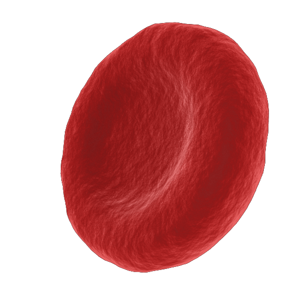 Blood cells png. Human guoyaxin red have
