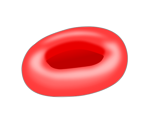 Red cell transparent images. Blood cells png