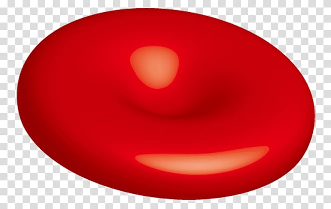 cells clipart red blood cell