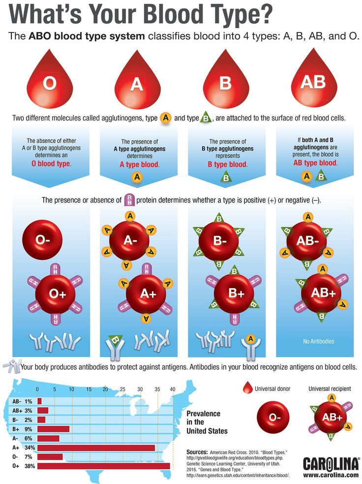 Blood clipart blood typing. What s your type