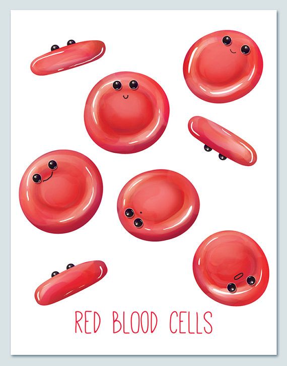 Red blood wall art. Cells clipart cute