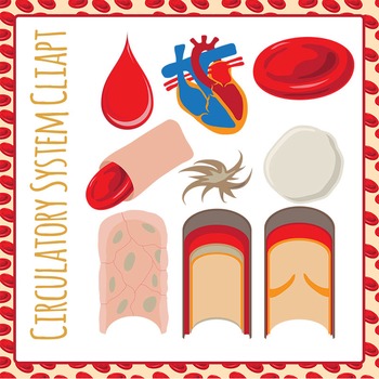 Circulatory system clip art. Blood clipart human blood