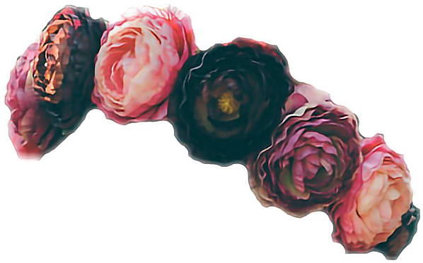 Blue flower crown png.  red for free