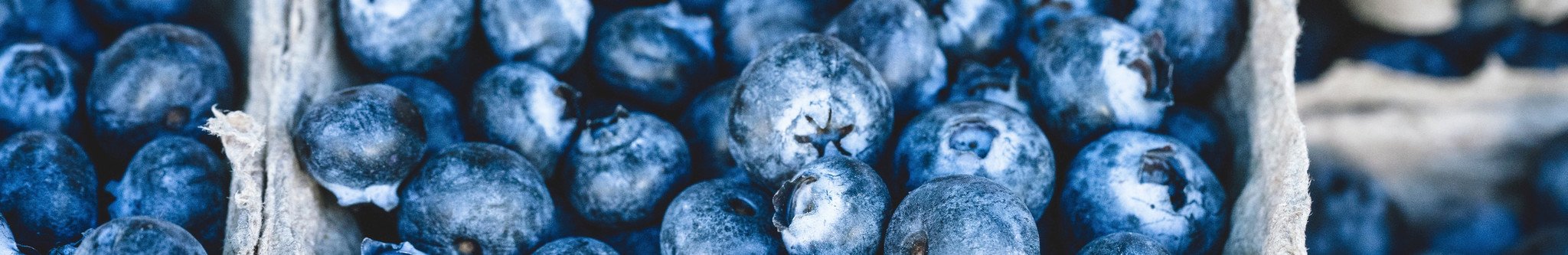 blueberries clipart antioxidant