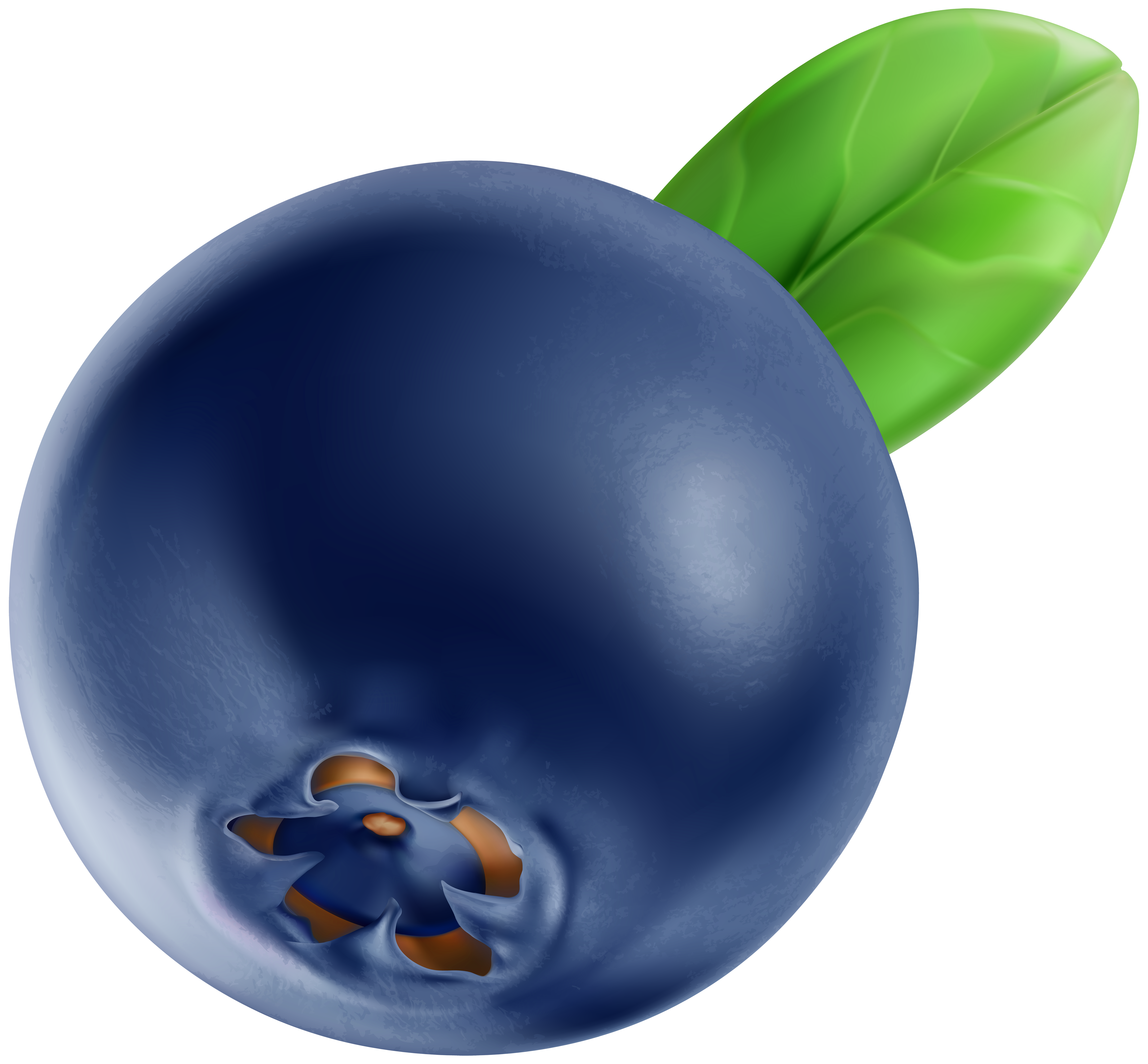 Blueberry clipart happy. Png clip art image