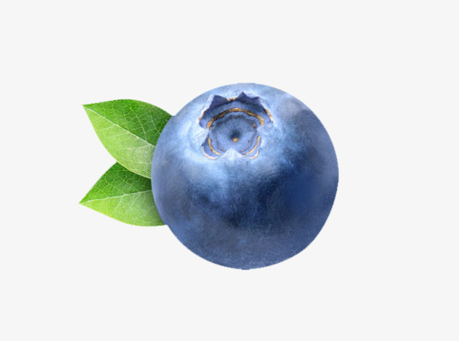 Blueberry clipart blue food. Fruit png image and