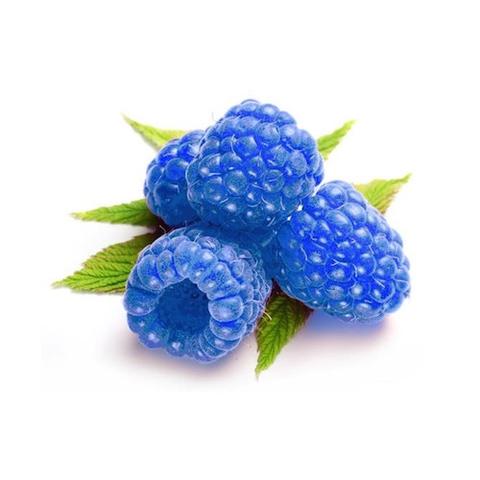 blueberries clipart blue raspberry