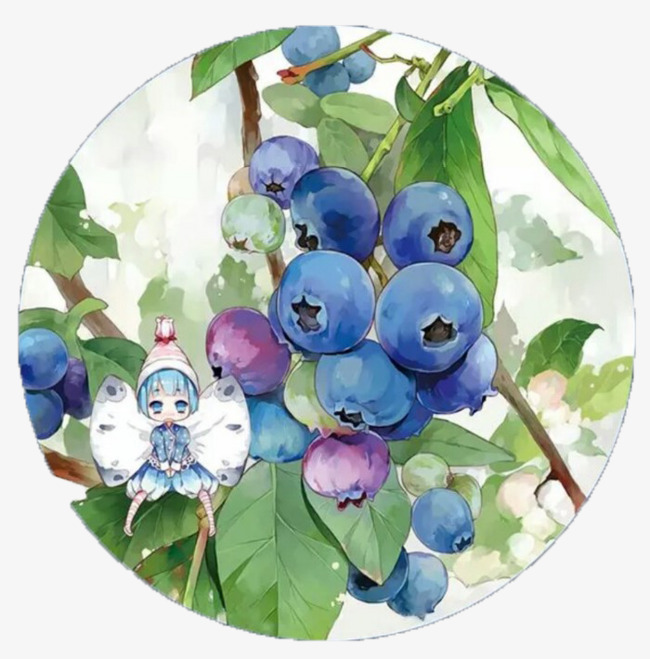 blueberries clipart blue raspberry