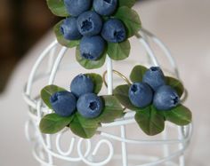 blueberries clipart blueberry bush
