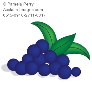 Blueberry clipart grape. Clip art illustration of