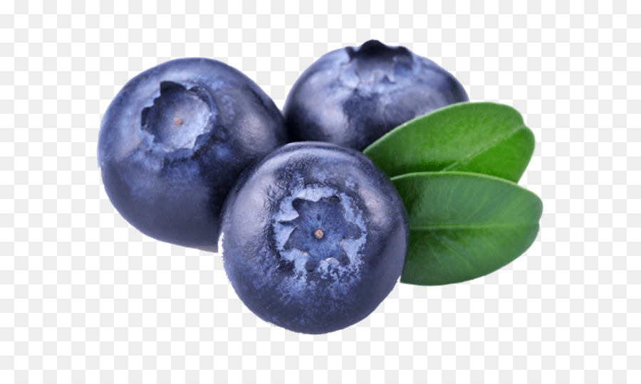 blueberries clipart blueberry fruit