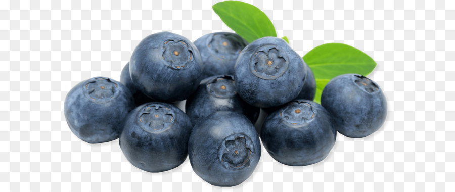 blueberries clipart blueberry pancake