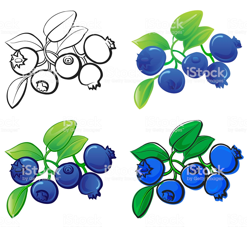blueberries clipart blueberry tree