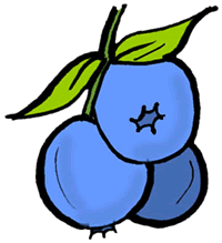 blueberries clipart clip art