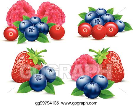 strawberries clipart strawberry blueberry