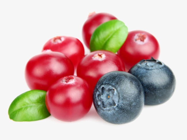 Blueberries clipart cranberry. Blueberry organic fresh png
