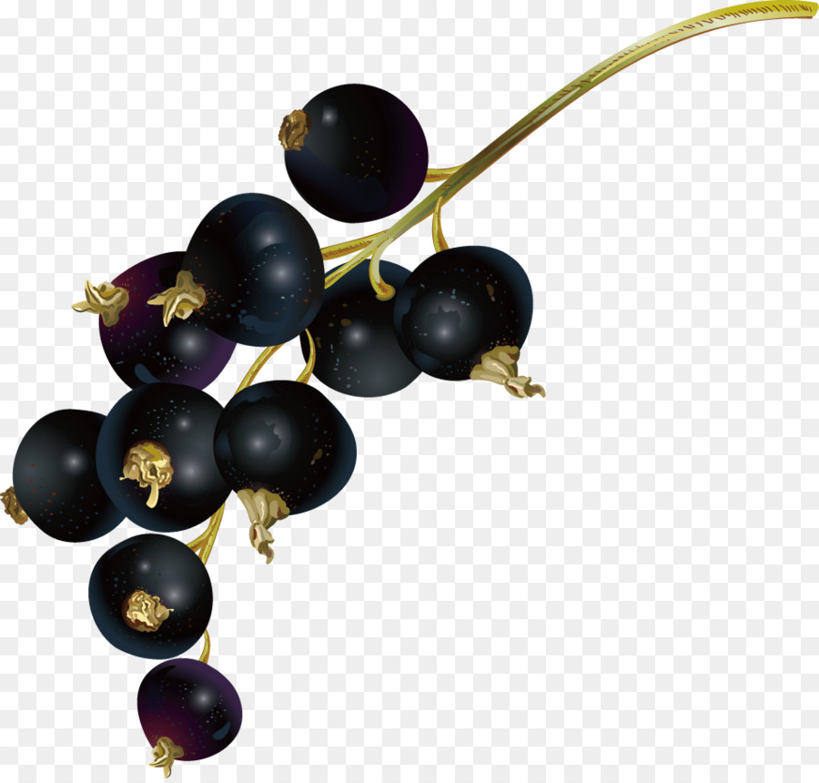 Blueberry clipart elderberry. Juice fruit bilberry png