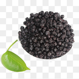 Dry picture full large. Blueberry clipart elderberry