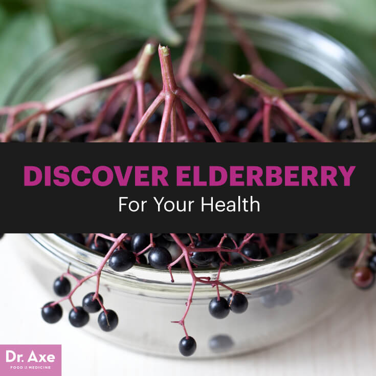 Natural medicine for colds. Blueberries clipart elderberry
