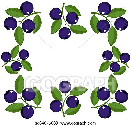 blueberries clipart frame