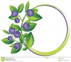 blueberries clipart frame