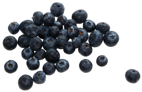 blueberries clipart fresh