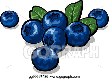 blueberries clipart fresh