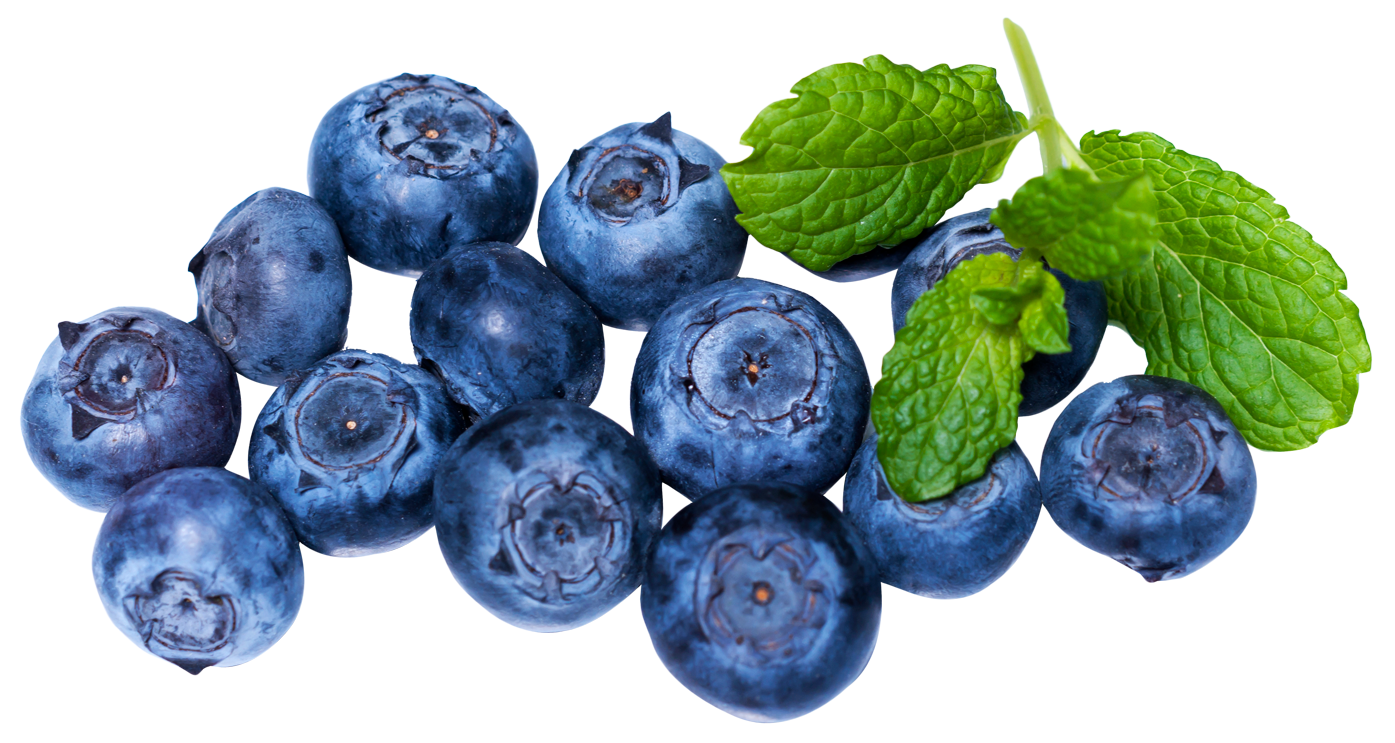 Blueberries png image purepng. Blueberry clipart fresh